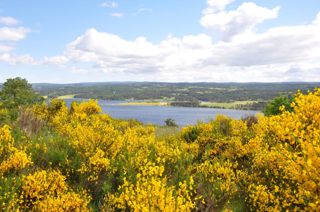 découvrir les plantes de lozère