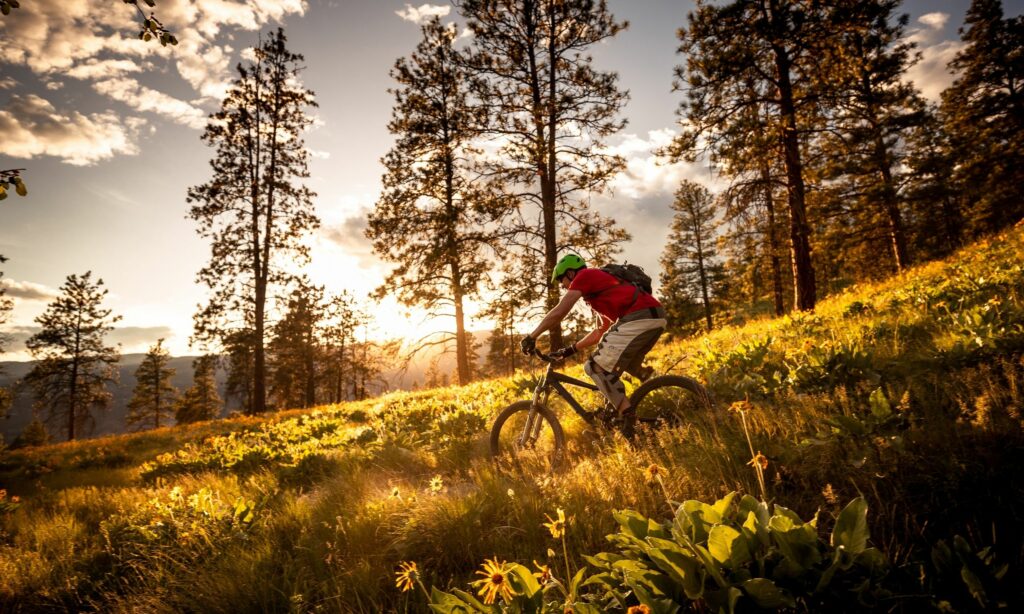 sorties et location de vtt en lozère autour du lac de naussac